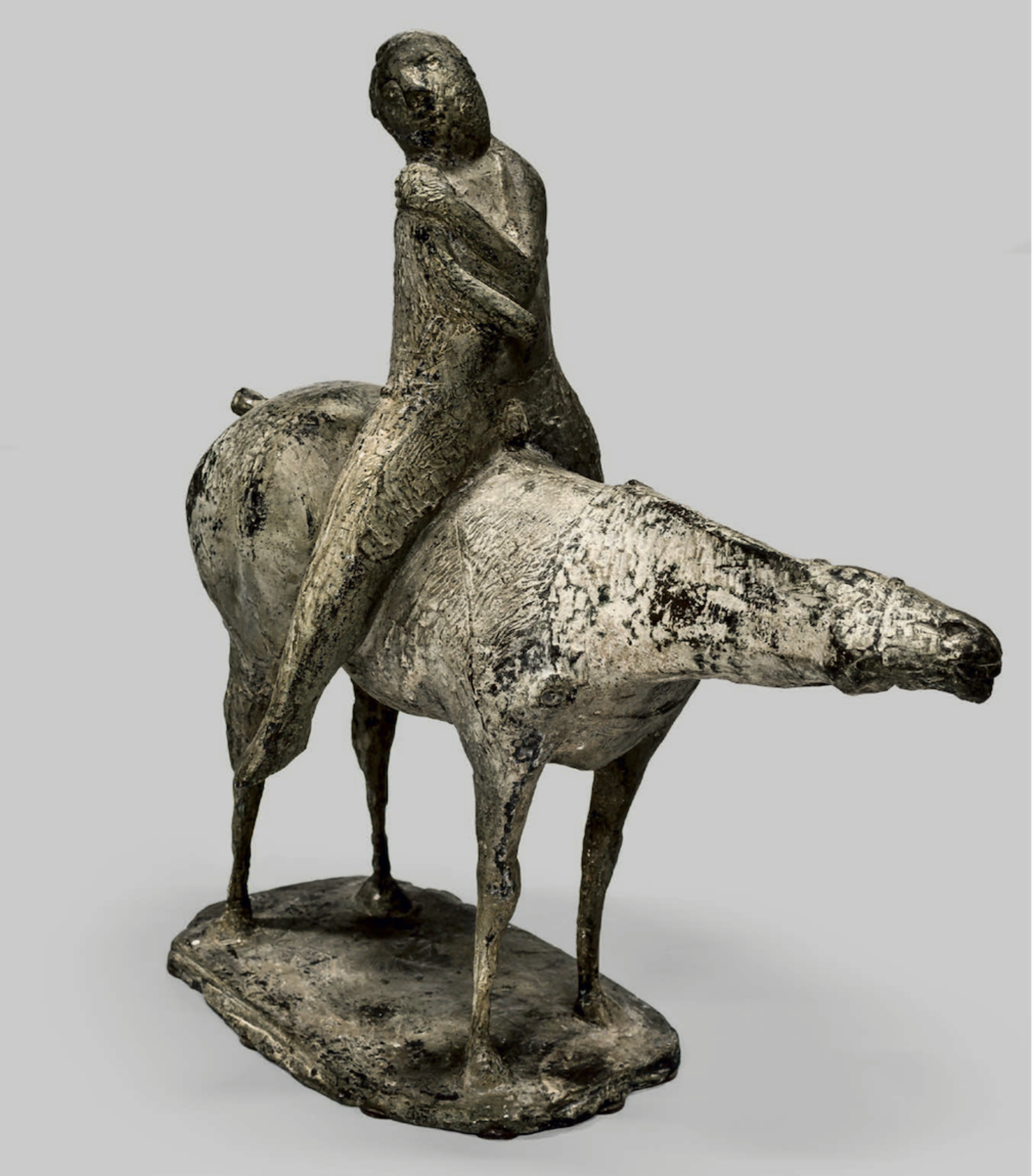 Fondazione Cerruti | Cavallo e cavaliere